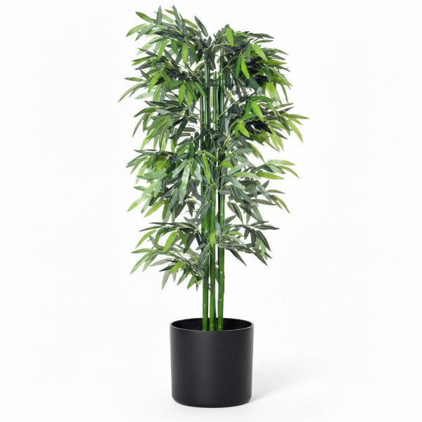 Bambus Green, Tropical Bamboo – image 1