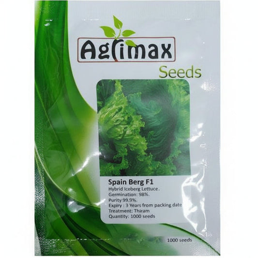 Lettuce Iceberg F1 Premium Seeds – image 1