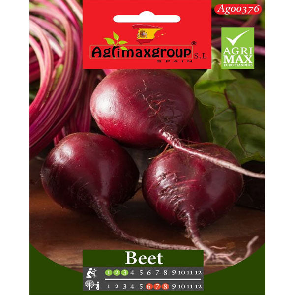 Red Beet Seeds – image 1