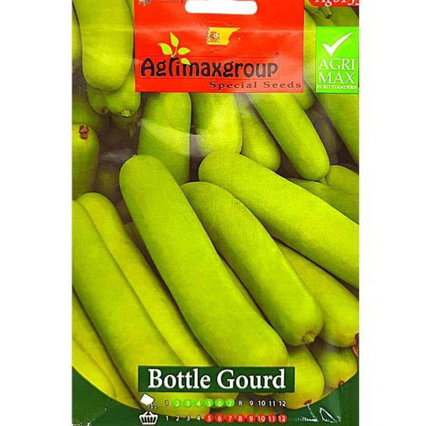 Bottle Gourd Seeds – image 2