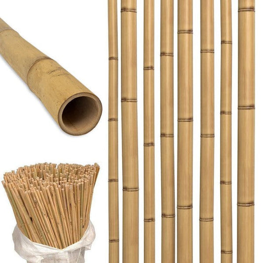 Bamboo Stick 15-30mm Dia – image 1