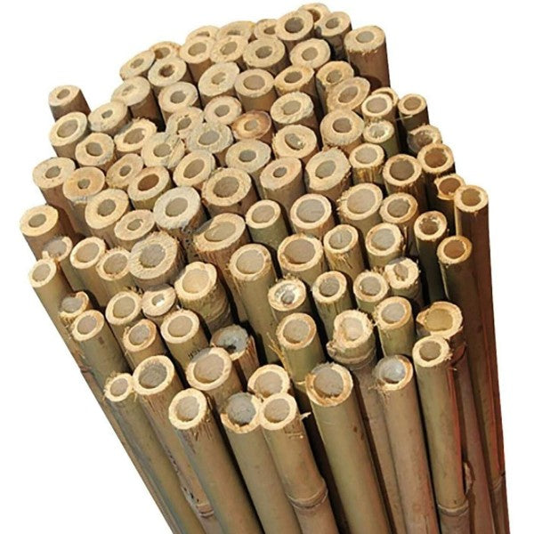 Bamboo Stick 15-30mm Dia – image 3