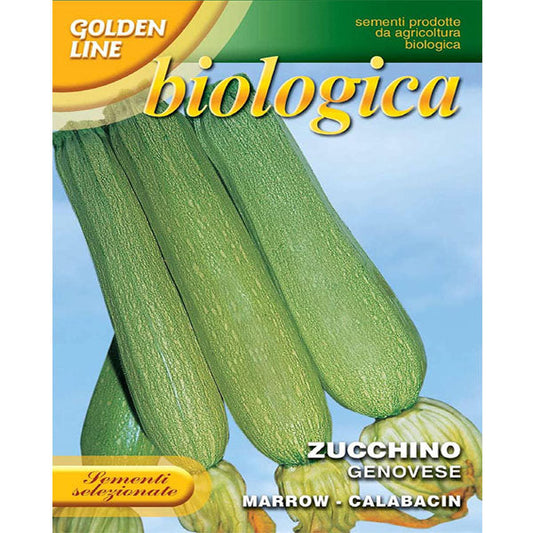 Squash Genovese, Franchi Seeds – image 1