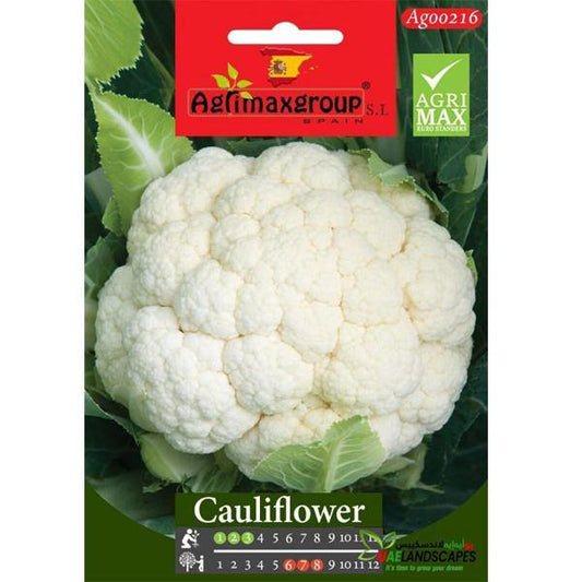 Cauliflower Seeds – image 1