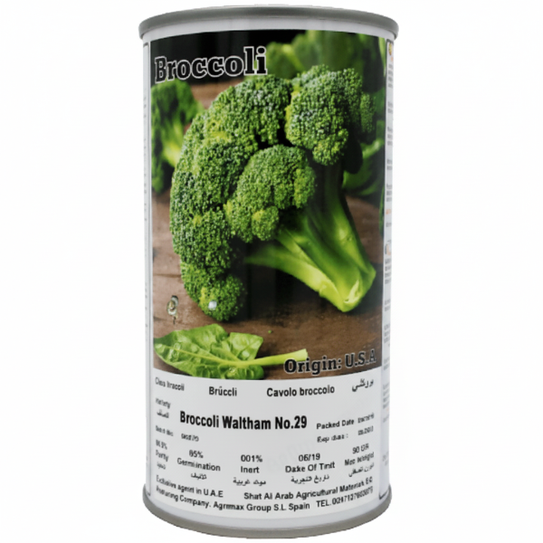 Broccoli Waltham 29 Seeds Tin – image 1