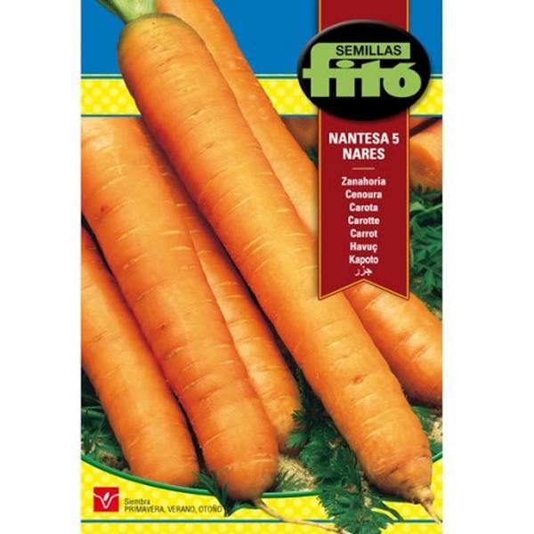 Carrot Nantesa 5 Nares Seeds – image 1