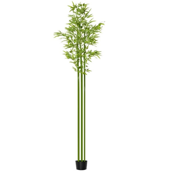 Bambus Green, Tropical Bamboo – image 3