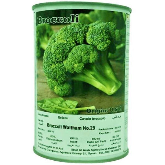 Broccoli Waltham 29 Seeds Tin – image 2