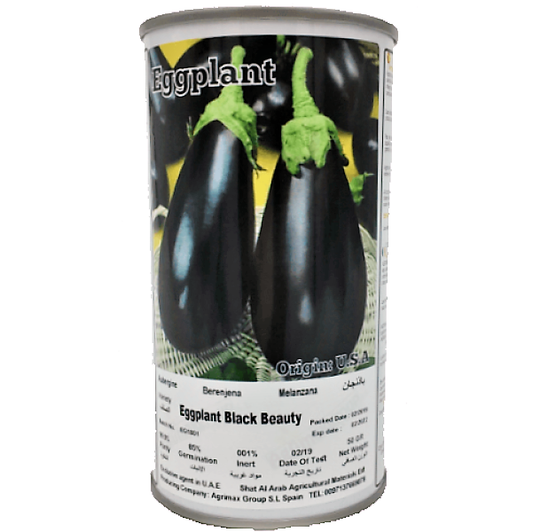 Eggplant Black Beauty Seeds Tin – image 2