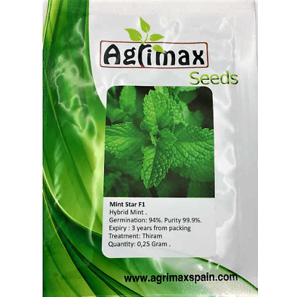 Mint F1 Premium Quality Seeds – image 1