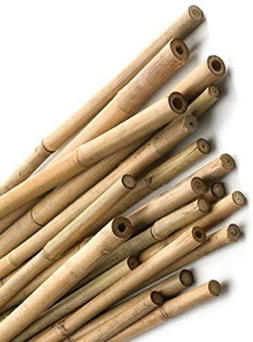 Bamboo Stick 15-30mm Dia – image 7