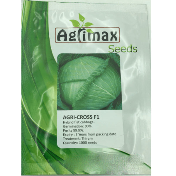 Cabbage Agri, Cross F1 Premium Quality Seeds – image 3