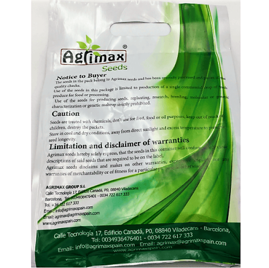 Alfalfa Desert master Premium Quality Seeds – image 2