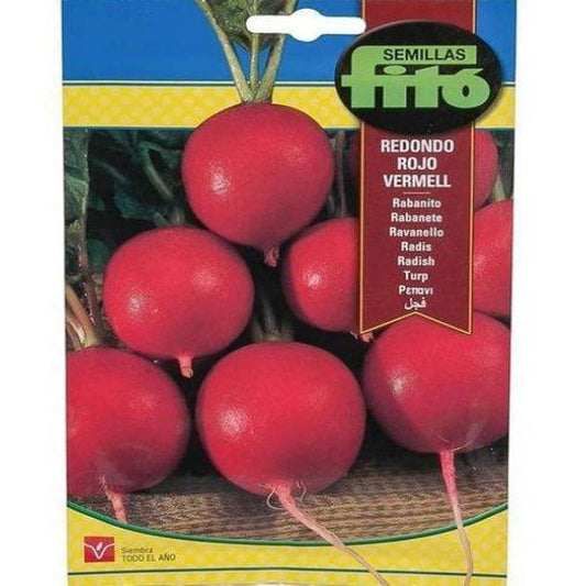 Radish Redondo Rojo Vermell Seeds – image 1