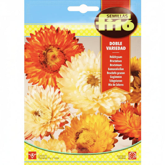 Helichrysum Monstruosum Double Mixed Seeds – image 1