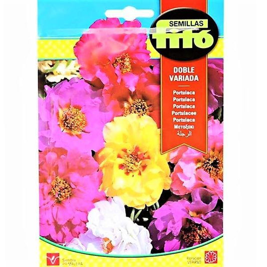 Portulaca Double Mix Seeds – image 1