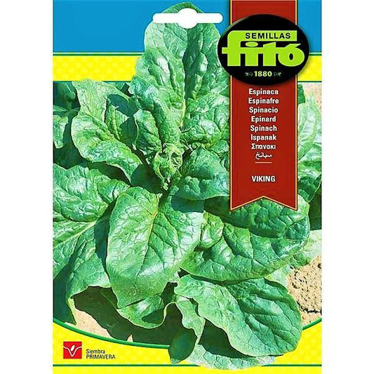 Spinach Viking Seeds – image 1