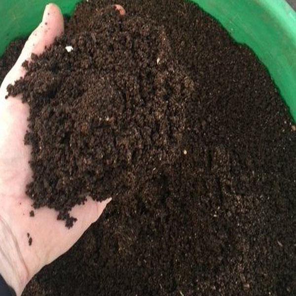 Black Gold Organic Vermi Fertilizer – image 3