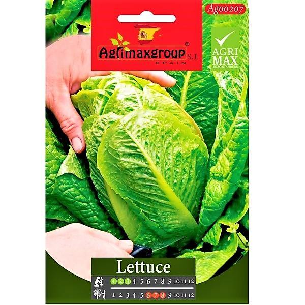 Lettuce Seeds – image 1