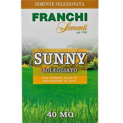 Grass Seeds SUNNY FRANCHI – image 1