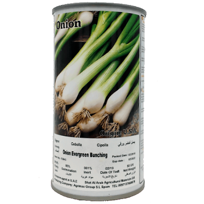 Evergreen Bunching Onions Seeds Tin – image 2