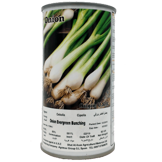 Evergreen Bunching Onions Seeds Tin – image 2