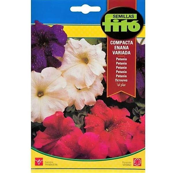 Petunia Seeds Dwarf Petunia Compact Mix Flower – image 1