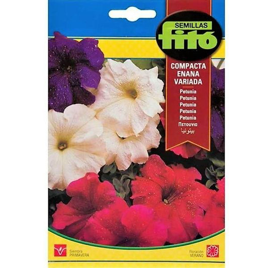 Petunia Seeds Dwarf Petunia Compact Mix Flower – image 1
