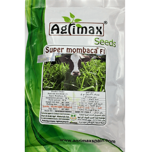 Super Mombaca F1 200K Premium Quality Seeds – image 1