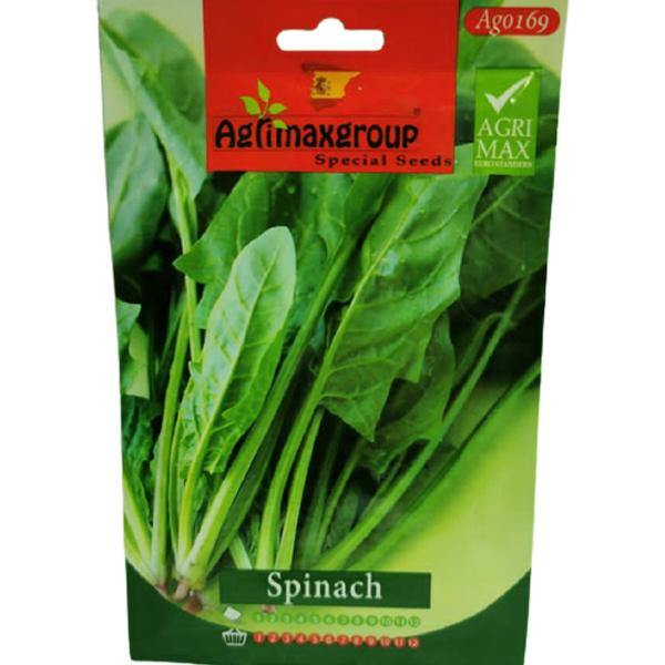 Spinach Seeds – image 2
