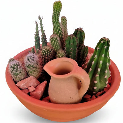 Cactus Outdoor – image 3