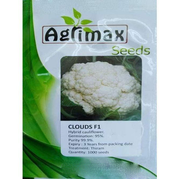 Cauliflower Clouds F1 Premium Seeds – image 1