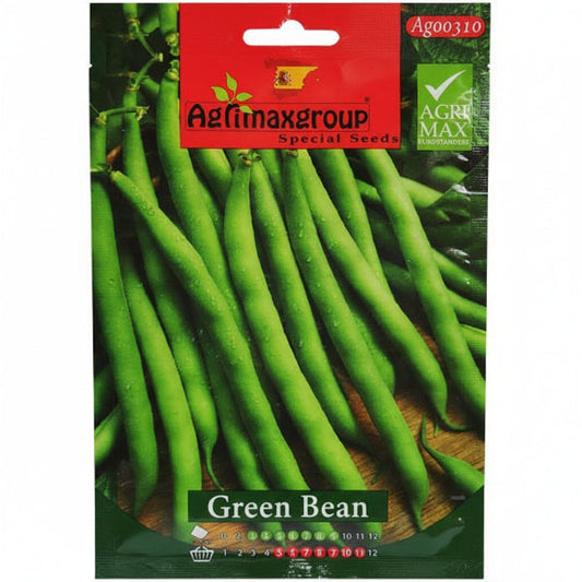 Green Bean Seeds – image 1