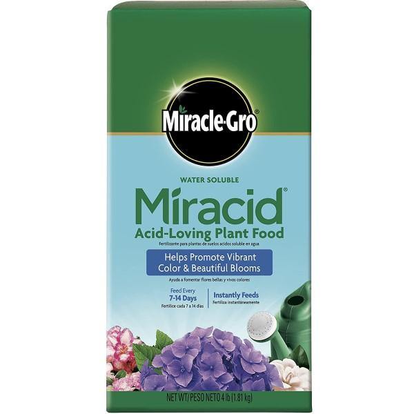 Miracle-Gro Acid-Loving Plant Food – image 2