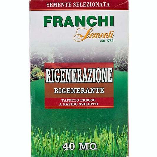 Grass Seeds RIGENERAZIONE FRANCHI – image 1