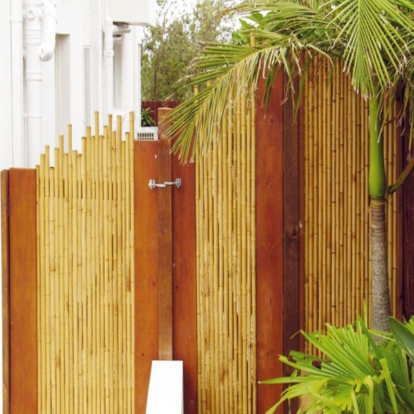Bamboo Stick 15-30mm Dia – image 5