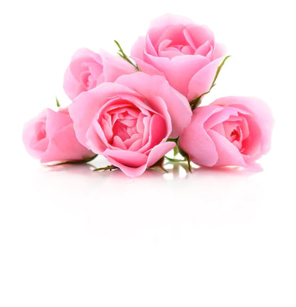 Fresh Pink Rose – image 4