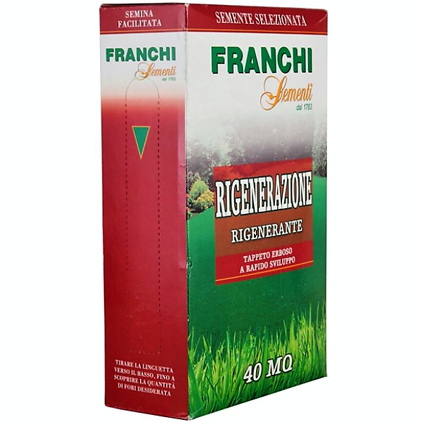 Grass Seeds RIGENERAZIONE FRANCHI – image 2