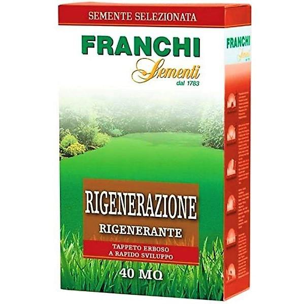 Grass Seeds RIGENERAZIONE FRANCHI – image 3