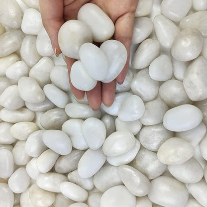 High Polished White Pebbles 20-25 KG Bag 3-5cm – image 4