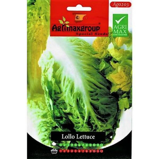 Lollo Lettuce Seeds – image 1