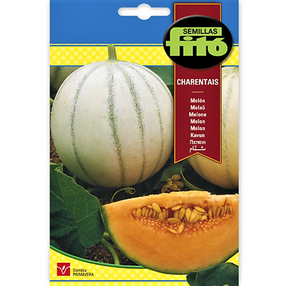 Melon Charentais Seeds – image 1
