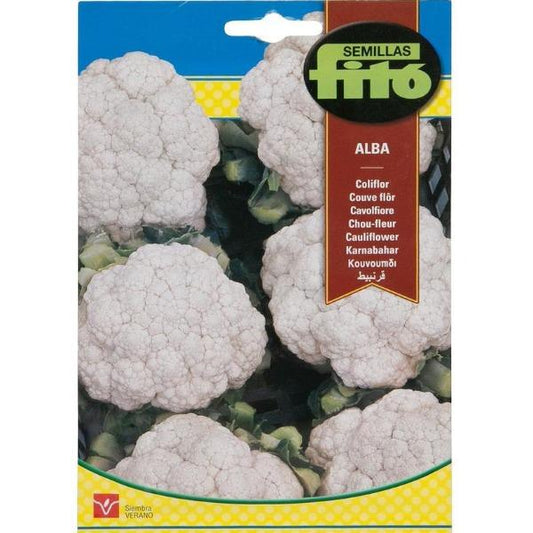 Coliflor Alba Cauliflower Seeds – image 1