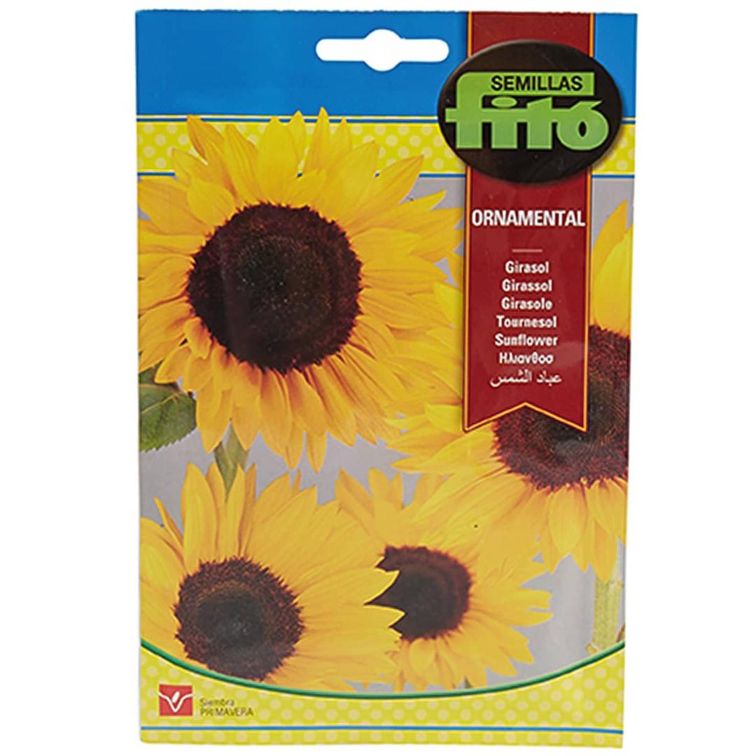 Sunflower Seeds 110mg Seeds – image 1