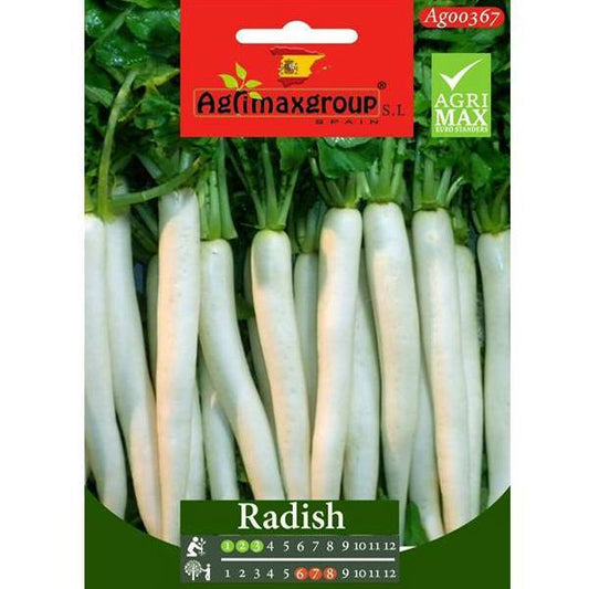 White Radish Seeds – image 1