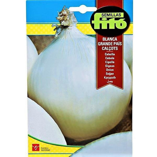 White Onion Blanca Grande Pais Calcots Seeds – image 1