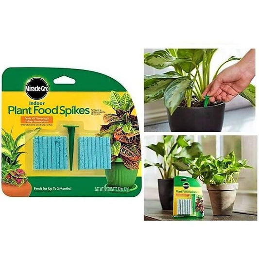 Miracle-Gro Indoor Plant Food – image 2