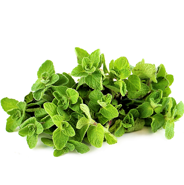 Zaatar Herb Thyme – image 4