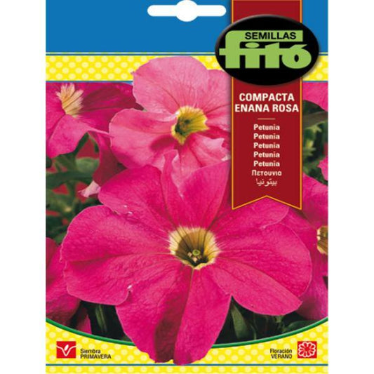 Petunia Dwarf, Compact Rose Seeds – image 1