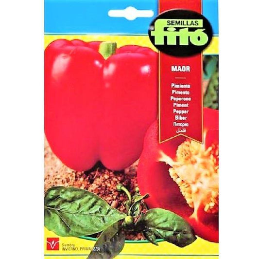 Pepper Maor Seeds – image 1
